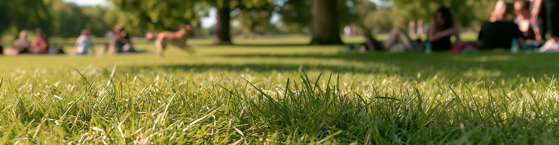 Hintergrundbild