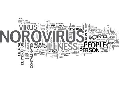 norovirus