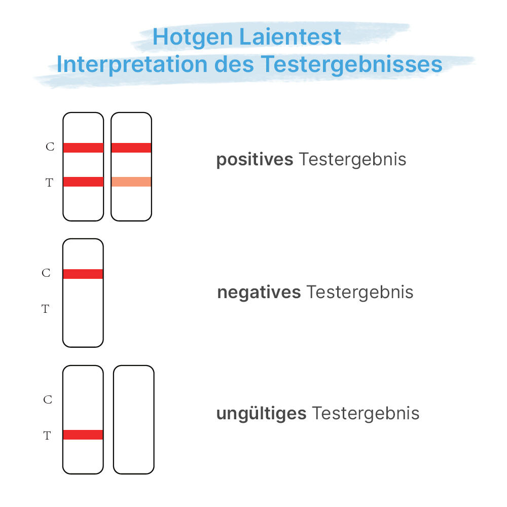 Hotgen Laientest Interpretation Testergebnis