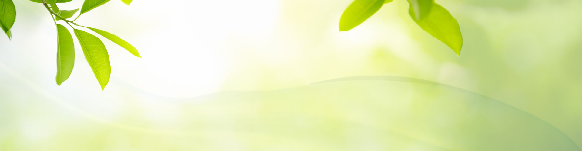 Frühlingsdeal Hintergrund